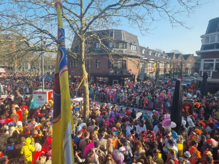 Camerabewaking en beveiliging tijdens groot buitenevenement met veel bezoekers